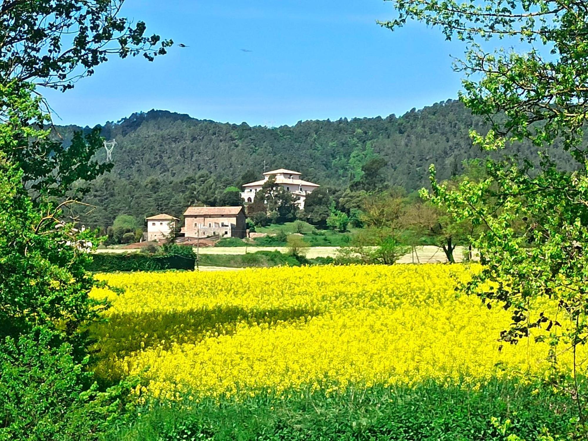 La Torre Del Vilar Santa Eulalia de Ríuprimer エクステリア 写真